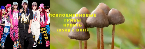 MDMA Богородицк