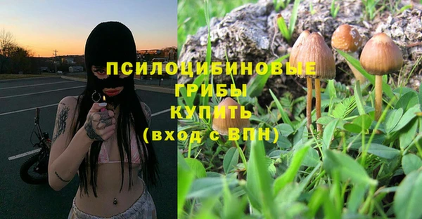 молекула духа Богородск