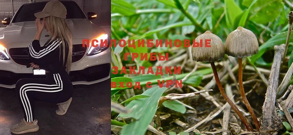 скорость mdpv Бородино