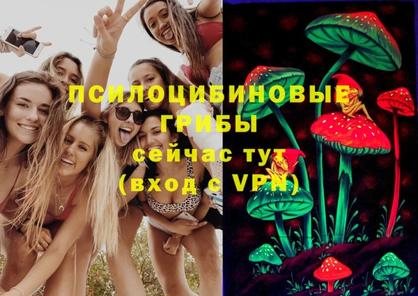 MDMA Богородицк