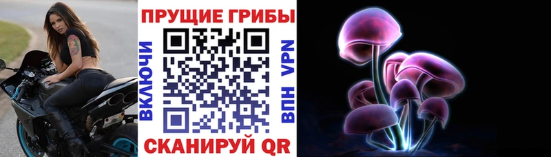Псилоцибиновые грибы мухоморы  гидра ссылка  Грайворон 