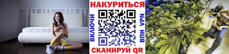 кракен ССЫЛКА  Грайворон  Конопля планчик  наркота 